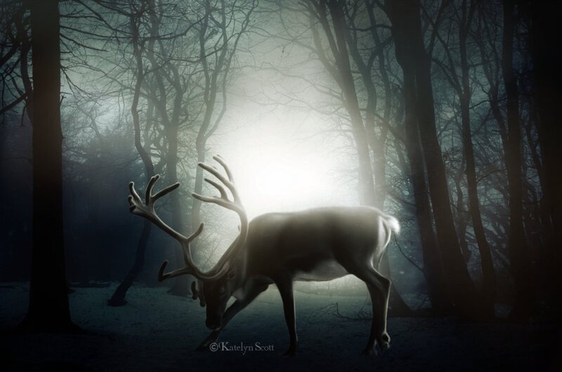Reindeer in Foggy Forest