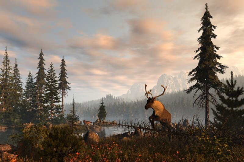 Reindeer in Forest — Green