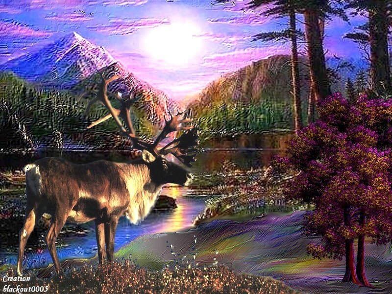 Reindeer in Forest