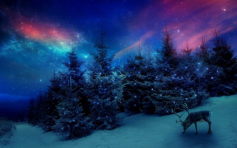 Reindeer in Snowy Forest — Blue