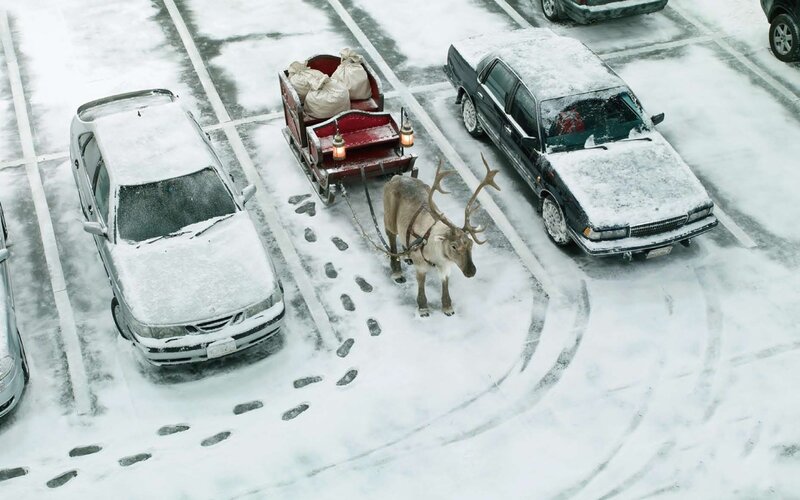 Reindeer in snowy parking lot