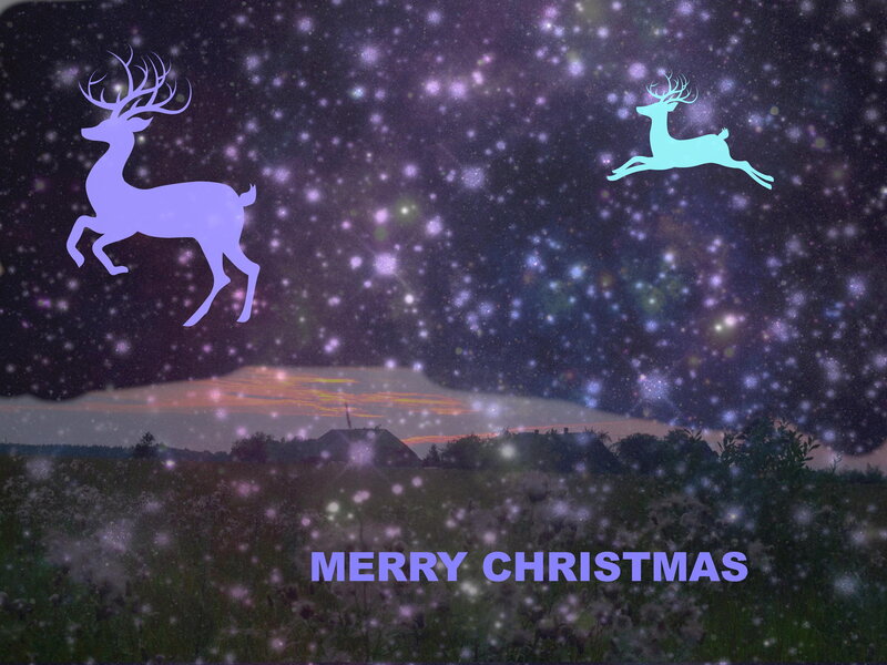 Reindeer in Starry Sky