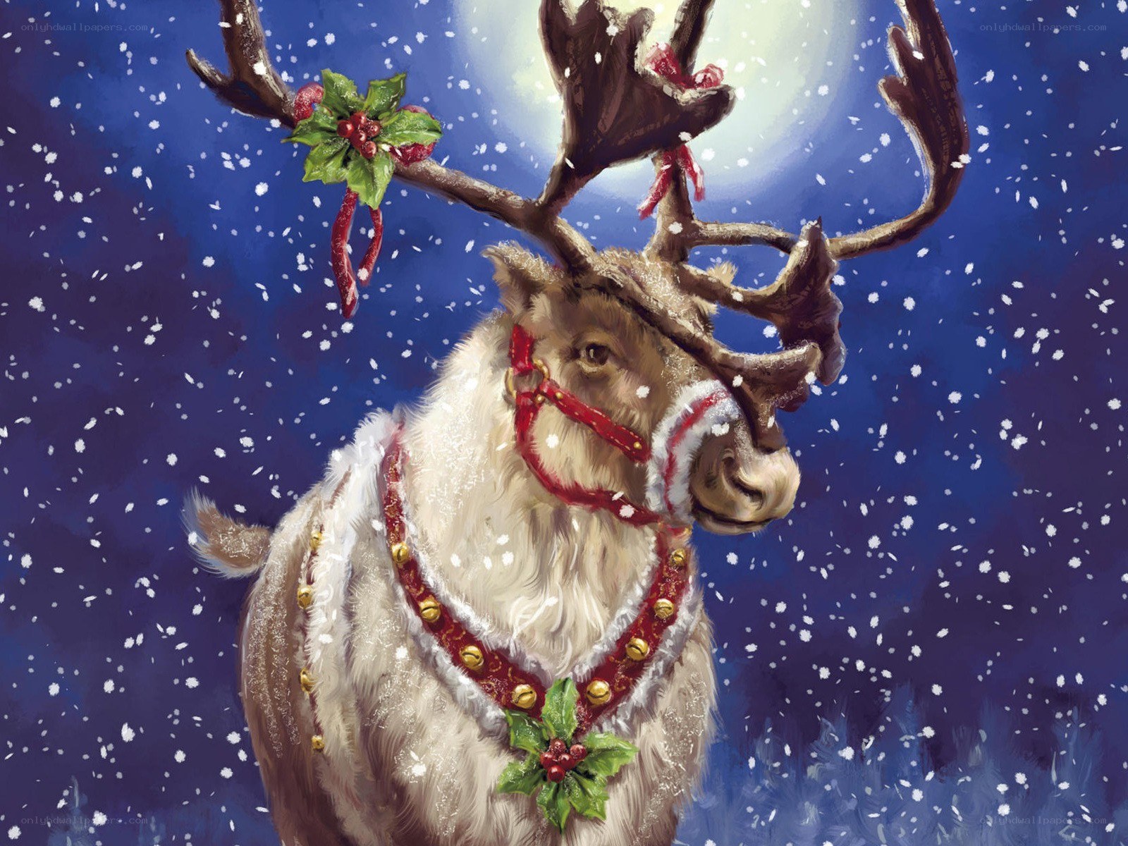 Reindeer in winter snow