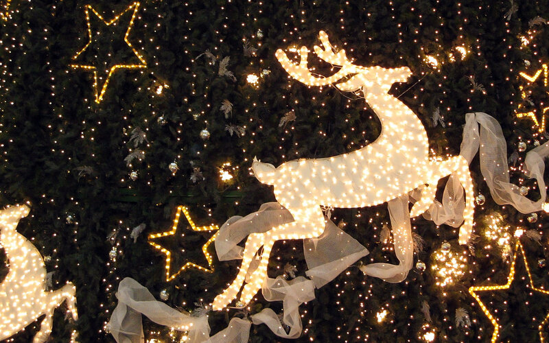 Reindeer Light Decoration