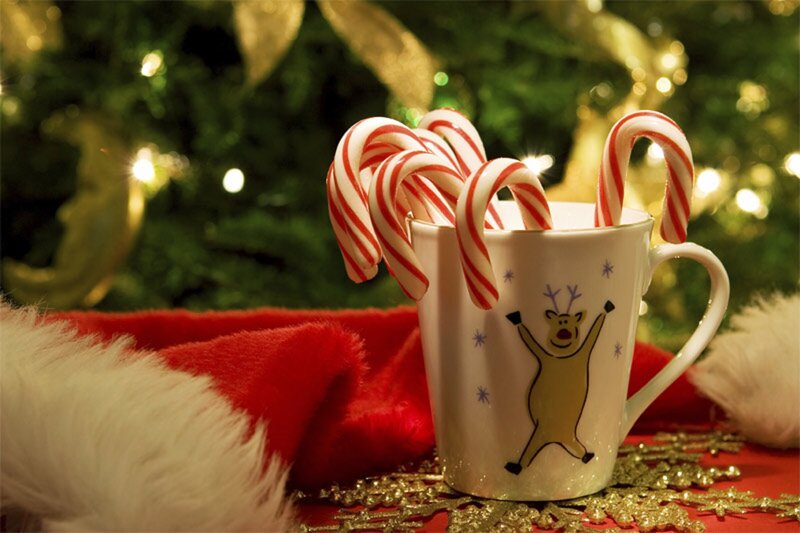 Reindeer Mug with Candy Canes