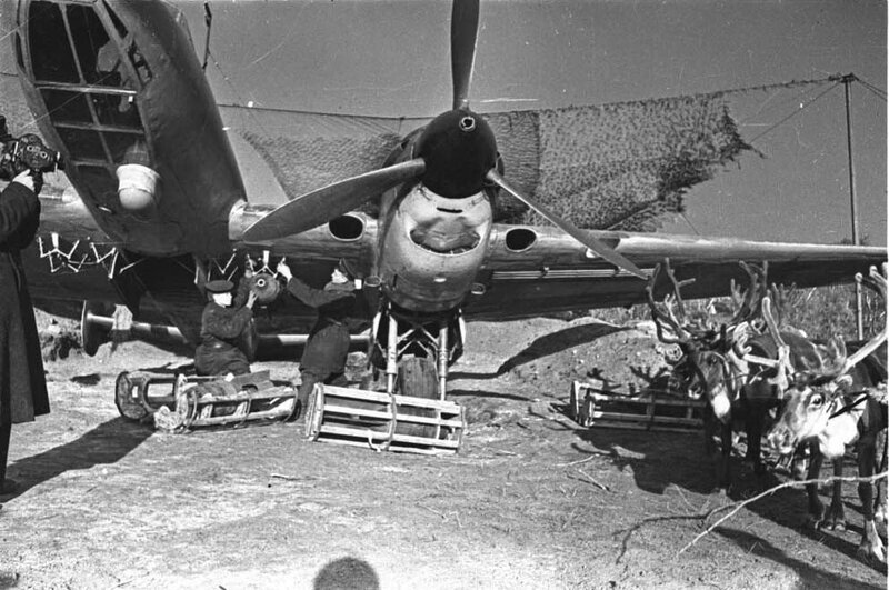 Reindeer near aircraft in Arctic