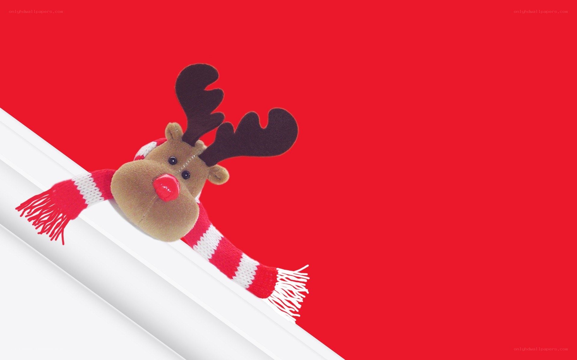 reindeer peeking from corner