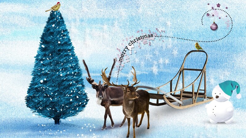 Reindeer Pulling Sleigh — Blue, Festive