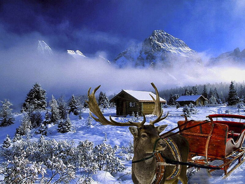Reindeer Pulling Sleigh — Blue, Serene