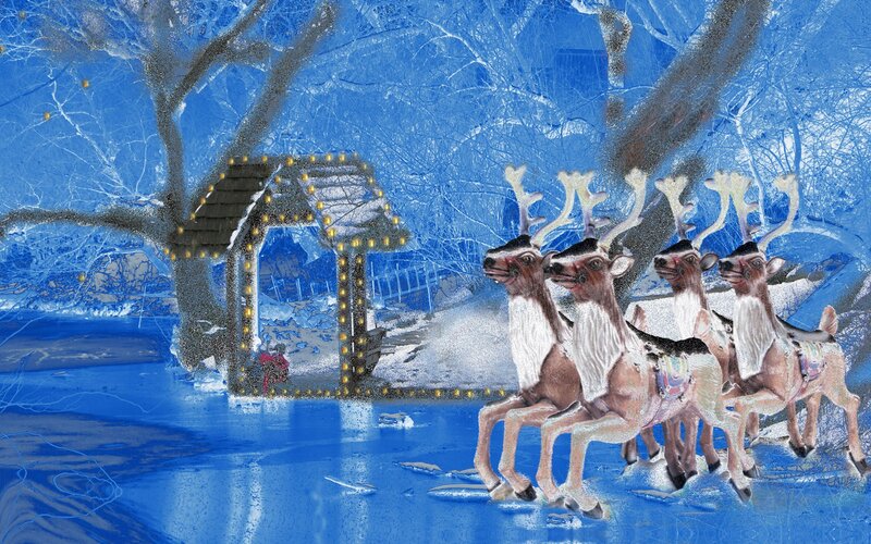 Reindeer pulling sleigh in winter