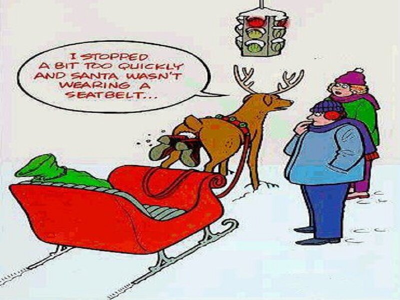 Reindeer Pulling Sleigh — Red, Humorous