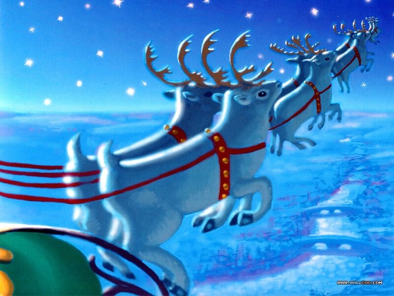 Reindeer Pulling Sleigh