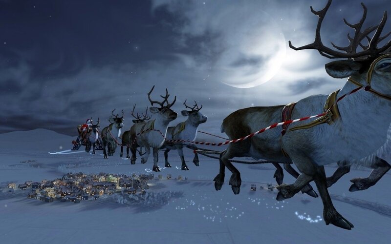 Reindeer Pulling Sleigh — White, Dramatic
