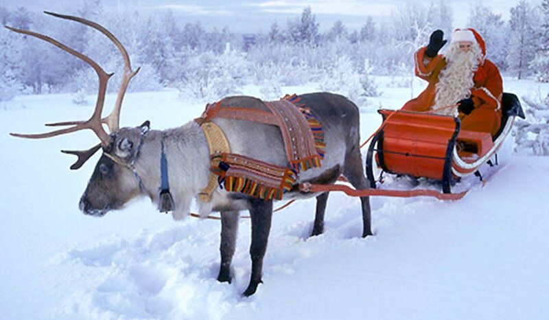 Reindeer Pulling Sleigh — White, Festive