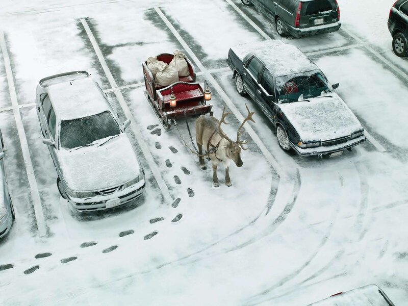 Reindeer Pulling Sleigh — White