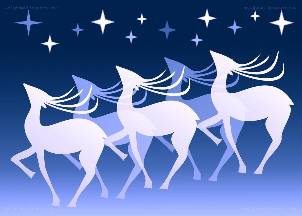 Reindeer under starry sky