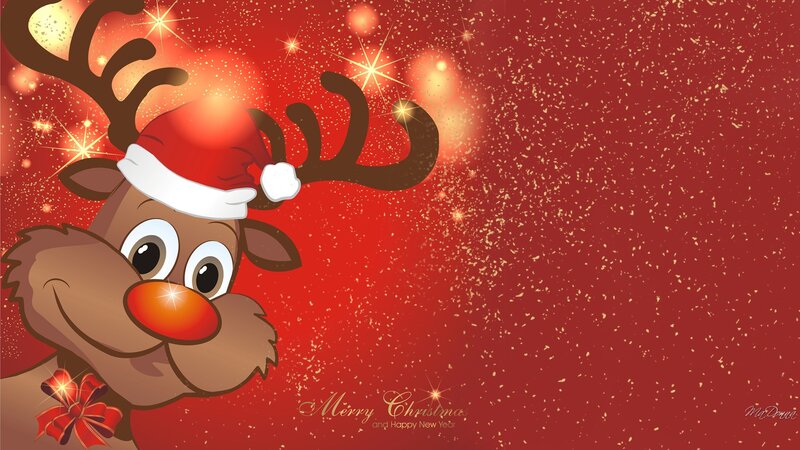 Reindeer Wearing Santa Hat