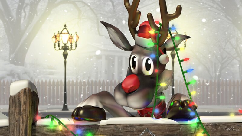 Reindeer with Lights