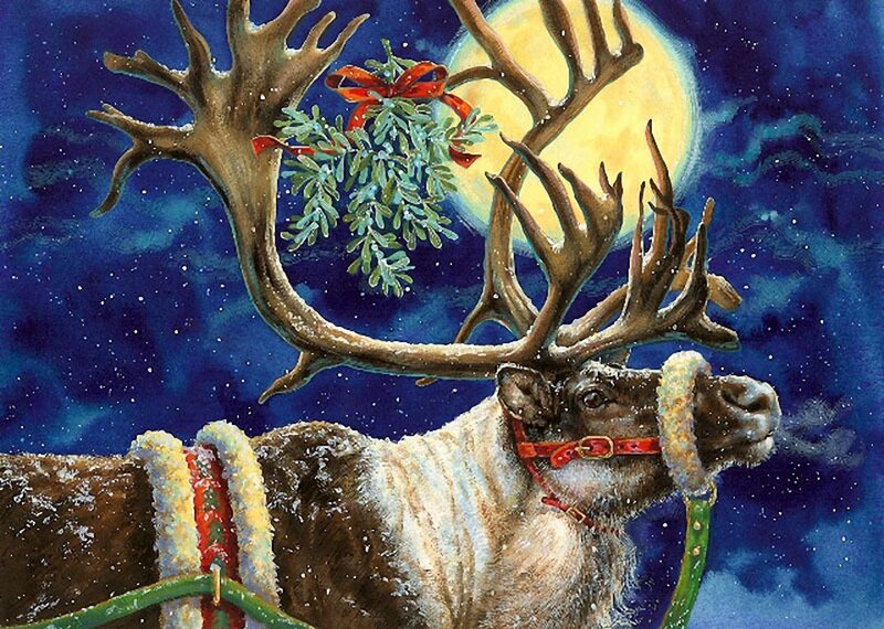 Reindeer with Mistletoe