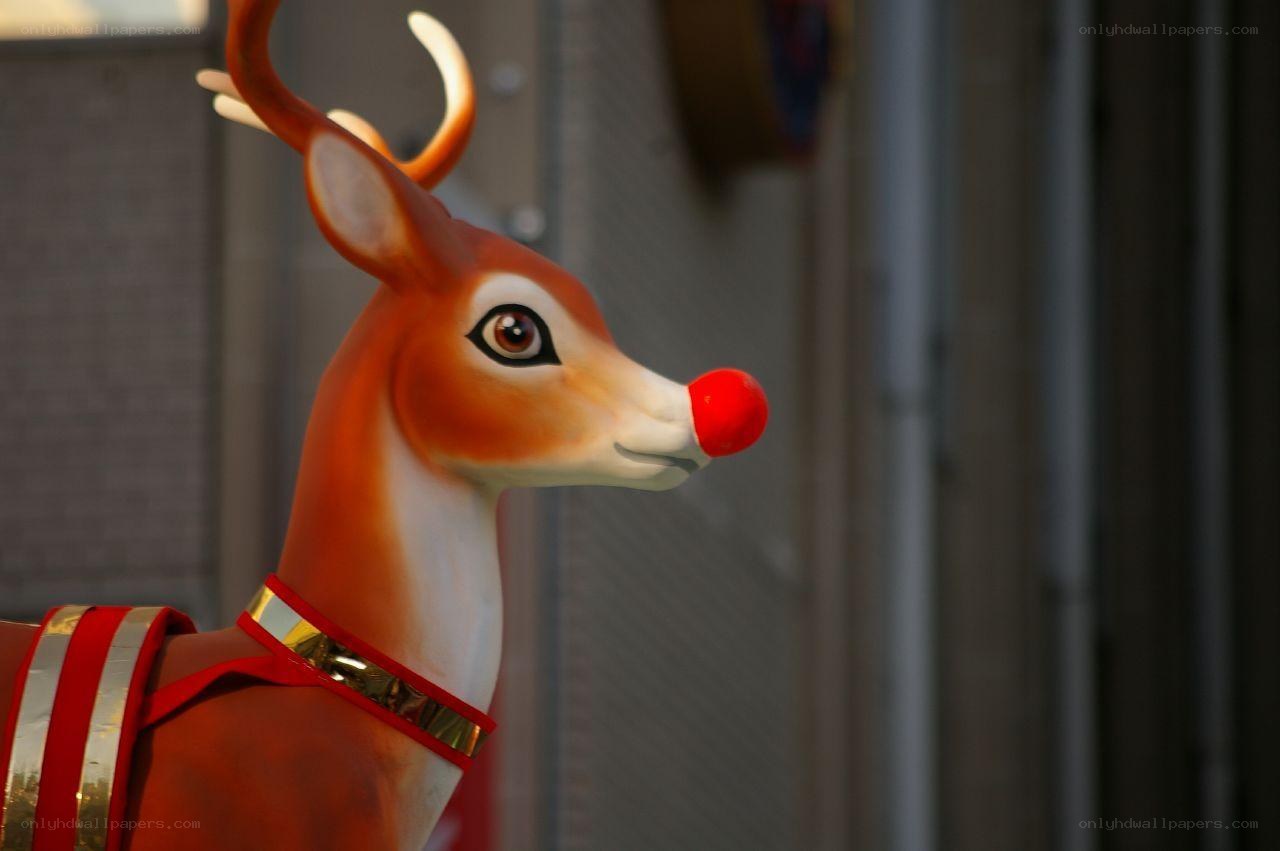 reindeer with red nose
