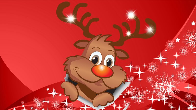 Reindeer with Red Nose — Festive