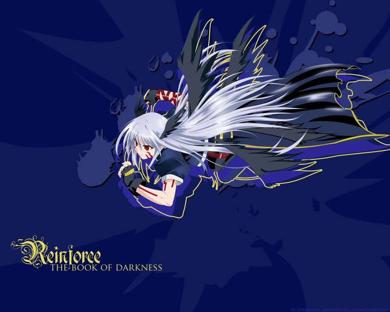 Reinforce: The Book of Darkness
