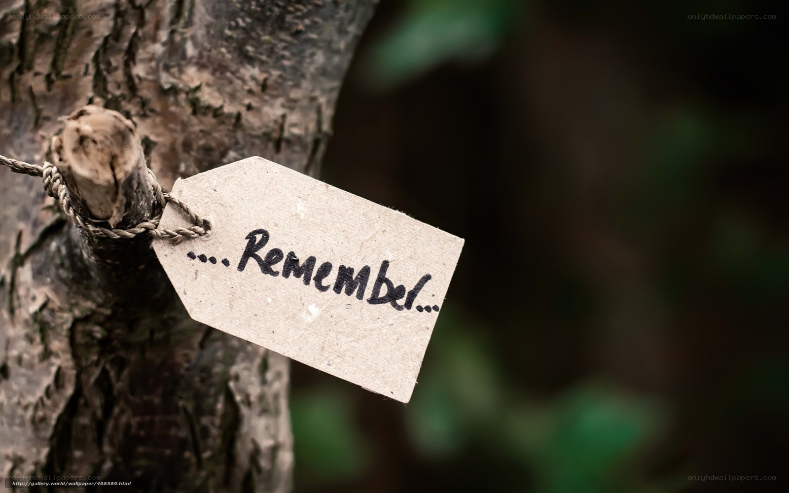 Remember tag on tree