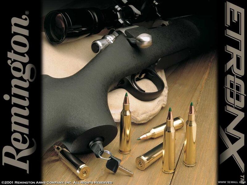Remington Rifle and Ammunition — Black