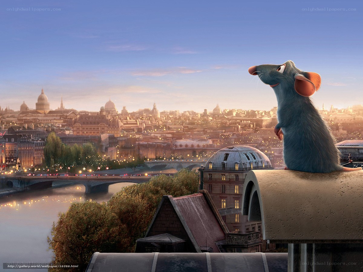 Remy on a Paris rooftop