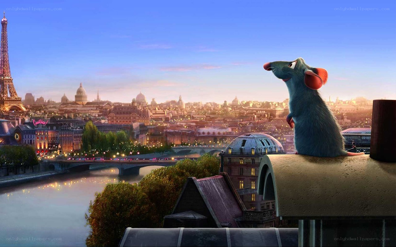 Remy overlooking Paris