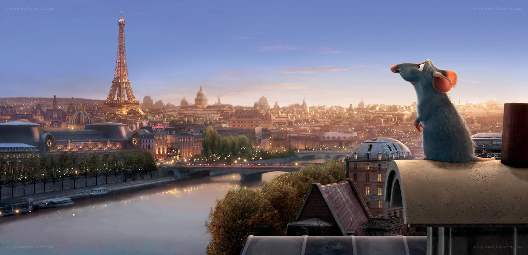 Remy overlooking Paris