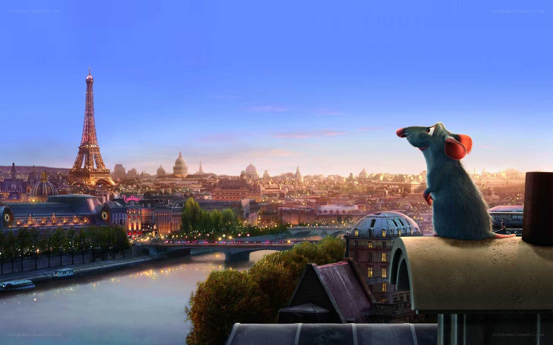 Remy overlooking Paris