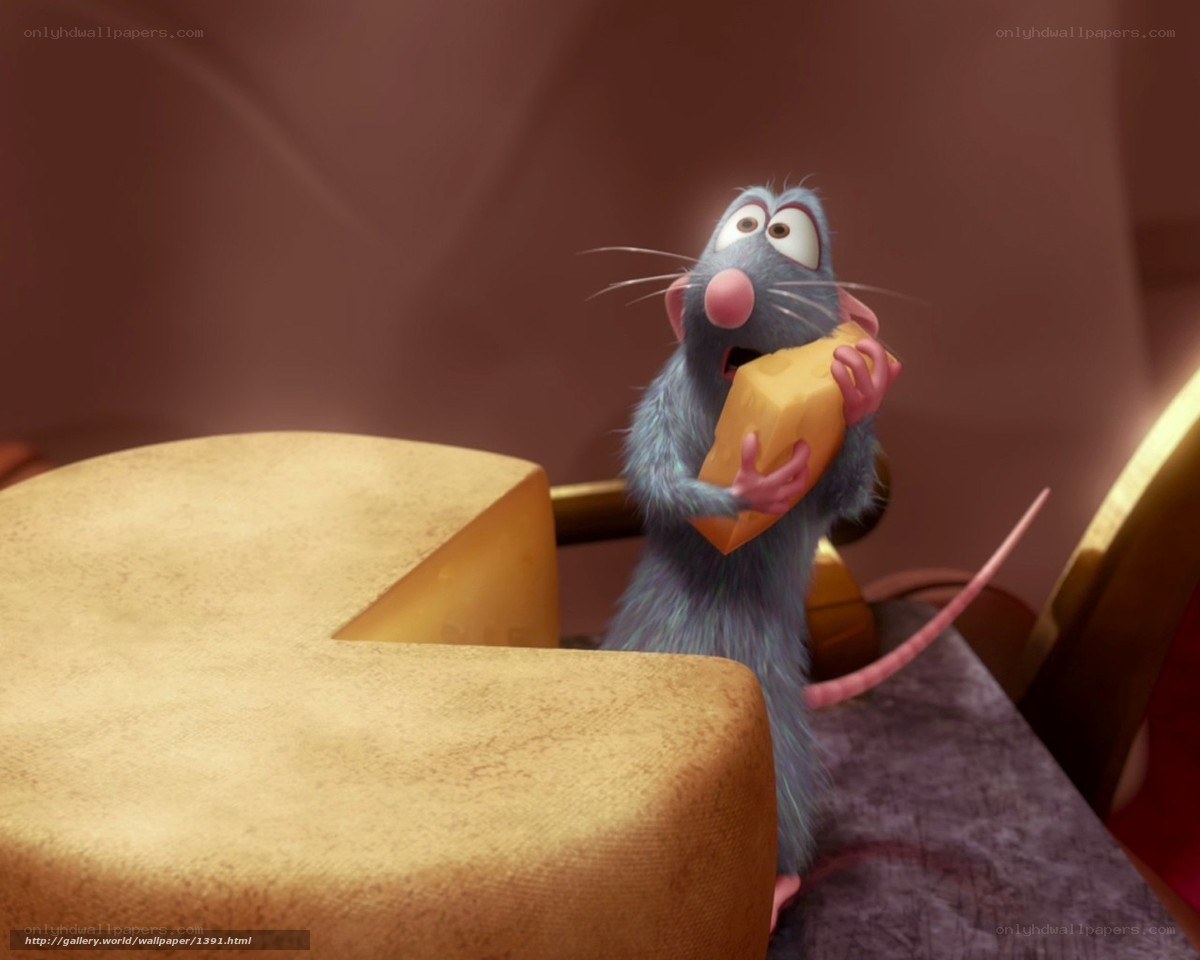 Remy the rat with cheese