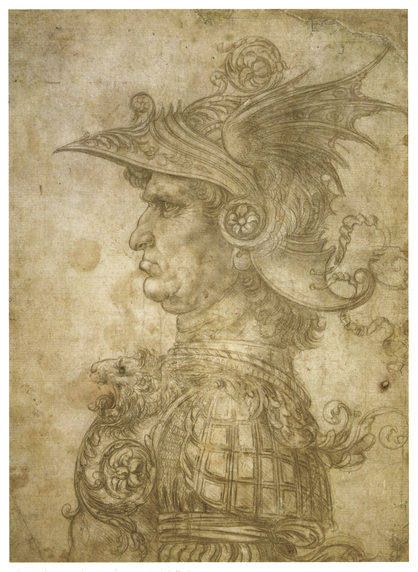 Renaissance armor sketch