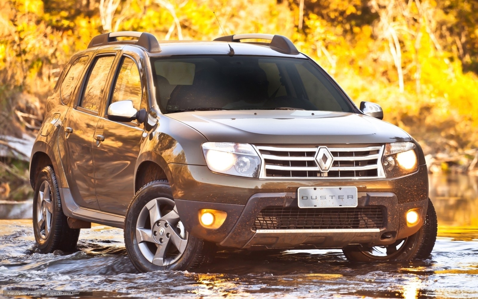 Renault Duster in river