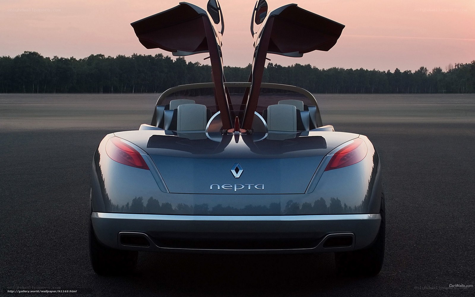 Renault Nepta concept car