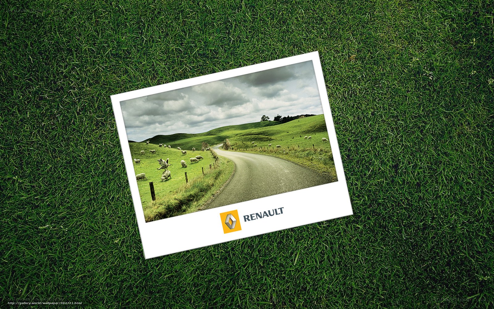 Renault photo on grass
