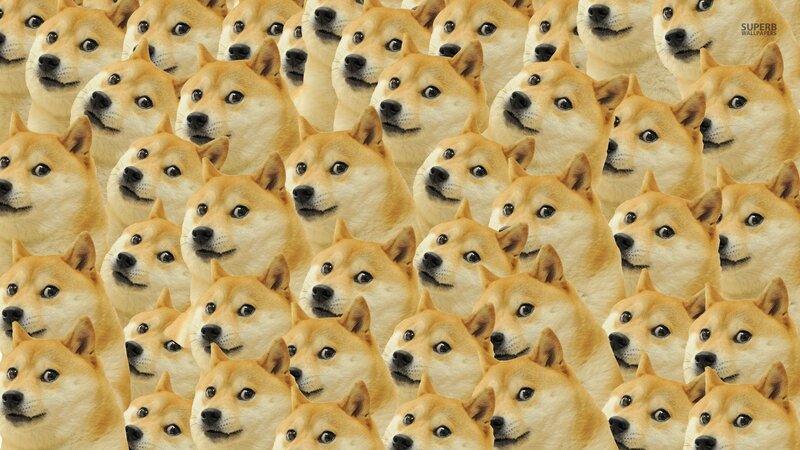 Repeated Dog Faces