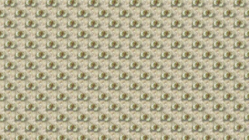 Repeating Butterfly Pattern