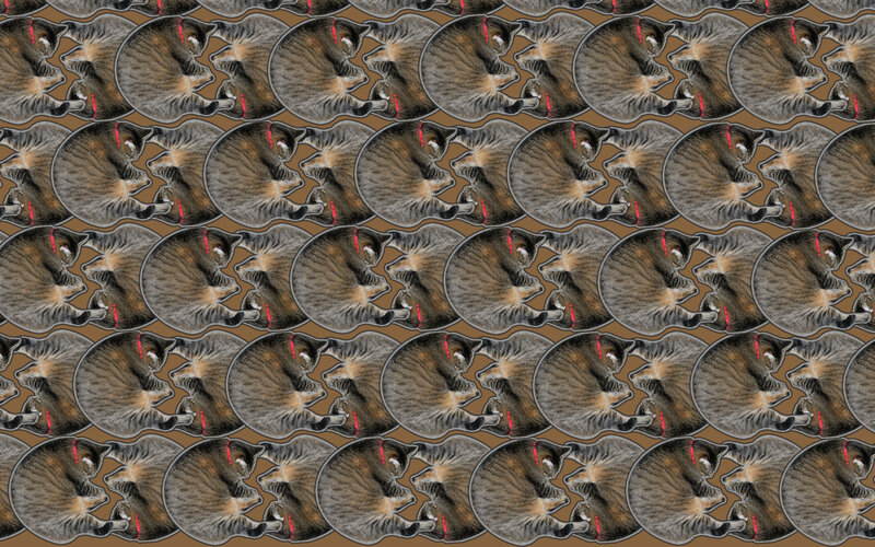repeating cat pattern