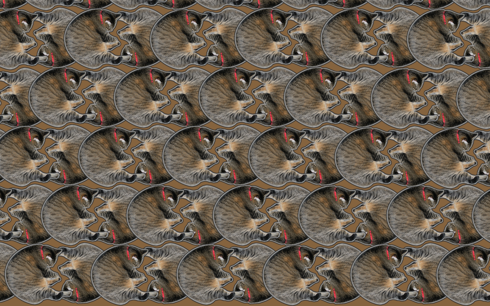 repeating cat pattern