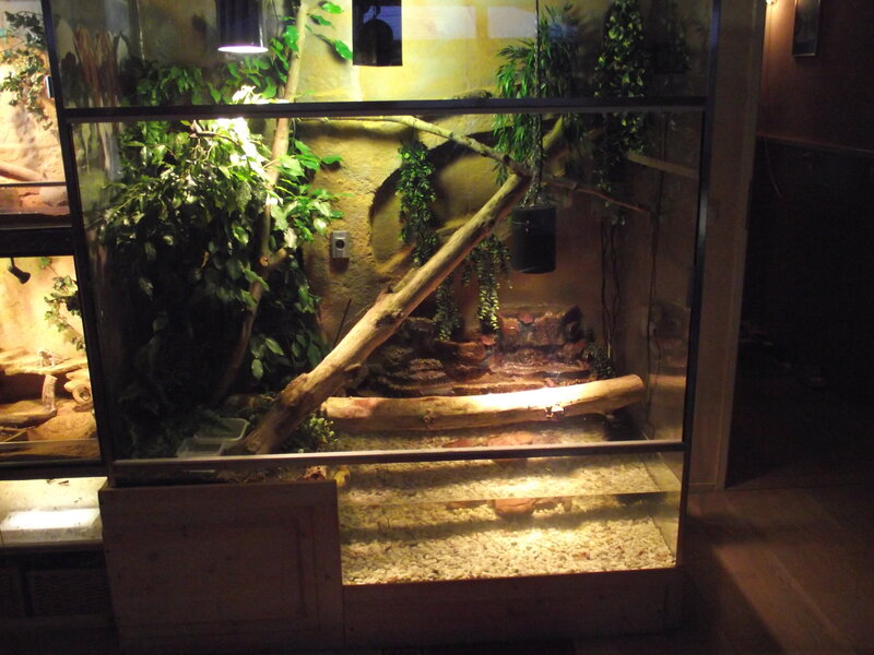 Reptile Terrarium