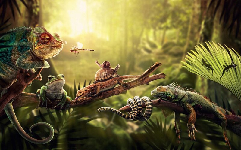 Reptiles in Jungle — Green