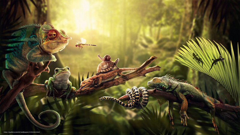 Reptiles on a Branch