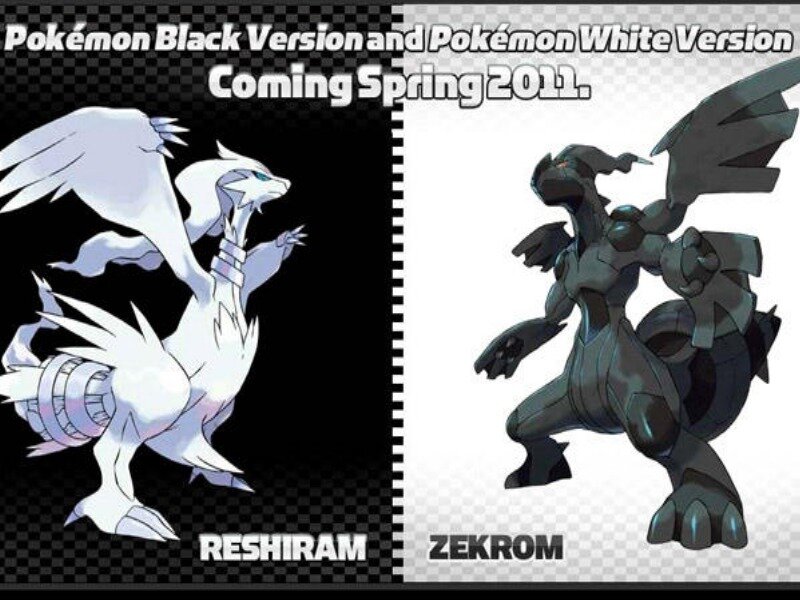 Reshiram and Zekrom