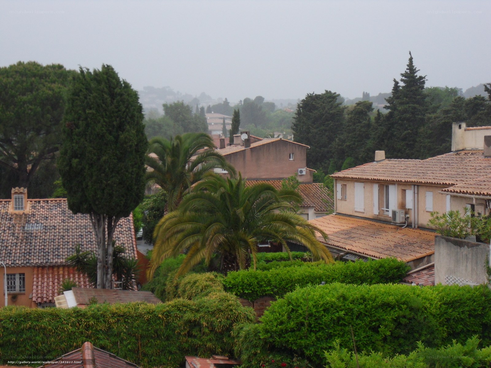 Residential area with palm trees