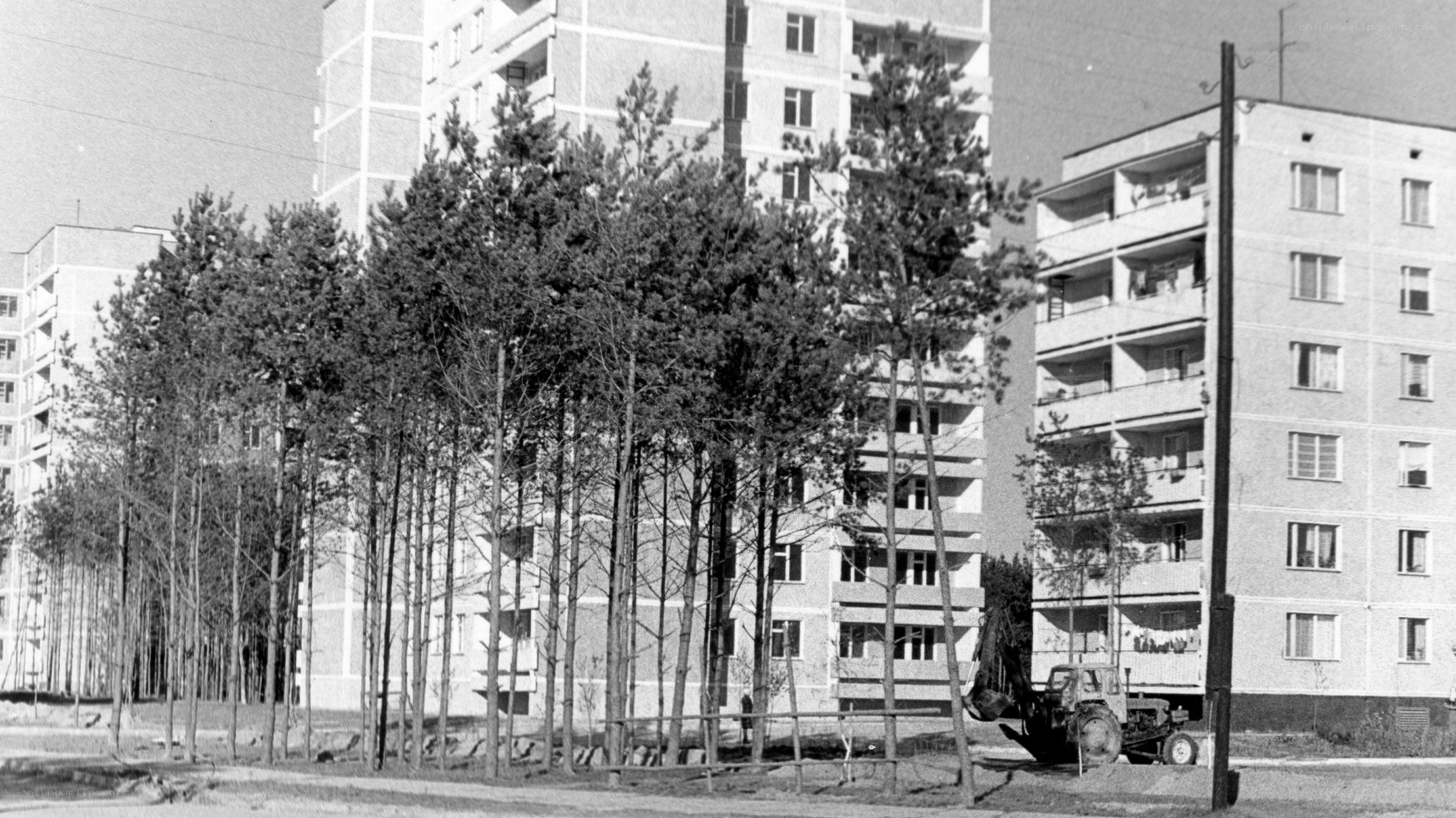 Residential buildings with trees