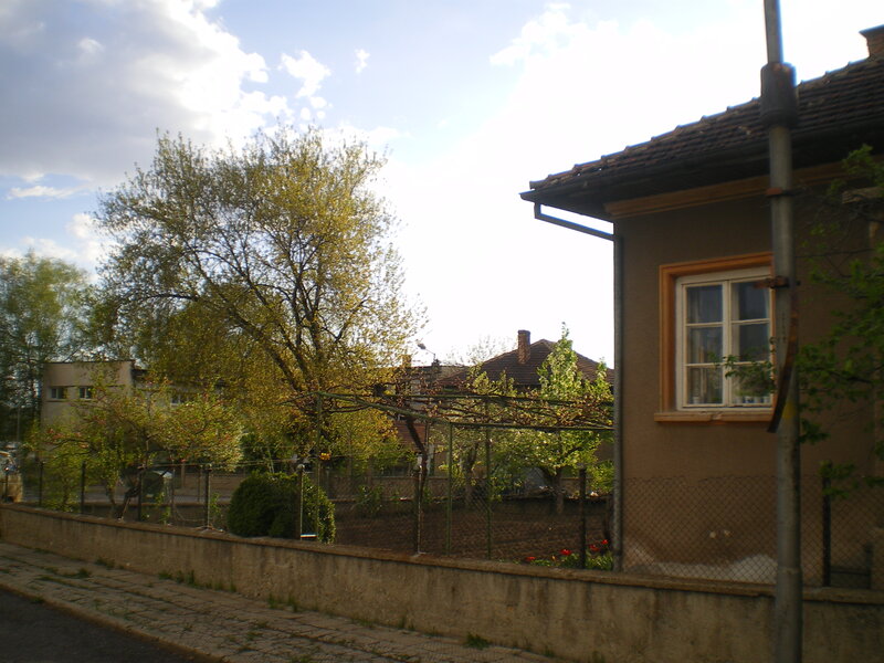 Residential House and Garden