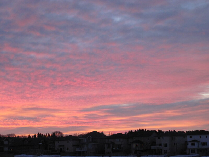 Residential Houses at Dusk
