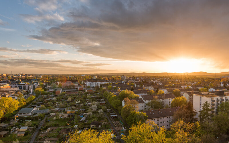 Residential Neighborhood at Sunset — Orange
